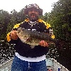 Joe M